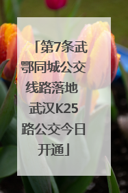 第7条武鄂同城公交线路落地 武汉K25路公交今日开通