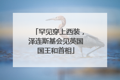 罕见穿上西装，泽连斯基会见英国国王和首相