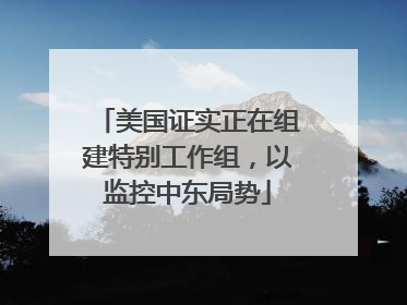 美国证实正在组建特别工作组，以监控中东局势