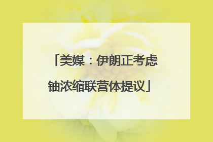 美媒：伊朗正考虑铀浓缩联营体提议