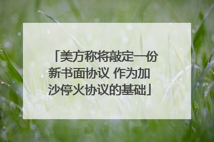 美方称将敲定一份新书面协议 作为加沙停火协议的基础