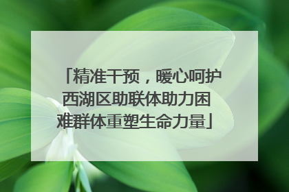 精准干预，暖心呵护 西湖区助联体助力困难群体重塑生命力量