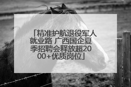精准护航退役军人就业路 广西国企夏季招聘会释放超2000+优质岗位