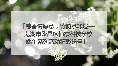 粽香传厚意，竹韵承非遗——芜湖市繁昌区恒杰科技学校端午系列活动精彩纷呈