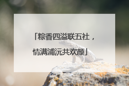 粽香四溢联五社，情满浦沅共欢颜