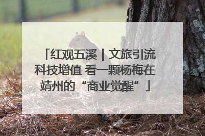 红观五溪｜文旅引流 科技增值 看一颗杨梅在靖州的“商业觉醒”