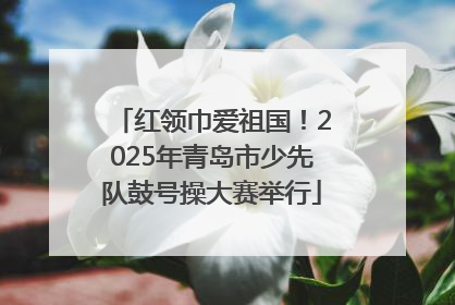 红领巾爱祖国！2025年青岛市少先队鼓号操大赛举行