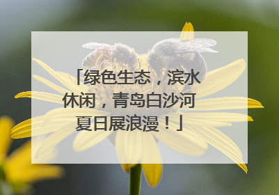 绿色生态，滨水休闲，青岛白沙河夏日展浪漫！
