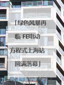 绿色风暴再临 FE电动方程式上海站圆满落幕