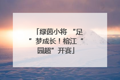 绿茵小将 “足”梦成长！榕江“园超”开赛
