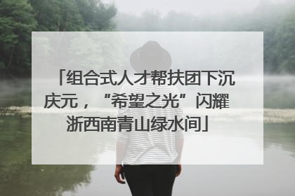 组合式人才帮扶团下沉庆元，“希望之光”闪耀浙西南青山绿水间