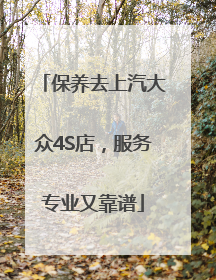 保养去上汽大众4S店，服务专业又靠谱