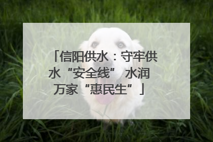 信阳供水：守牢供水“安全线” 水润万家“惠民生”
