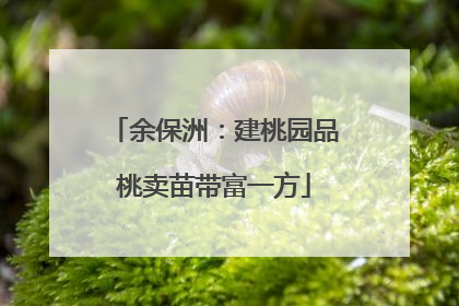 余保洲：建桃园品桃卖苗带富一方