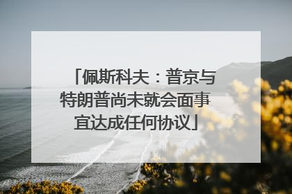 佩斯科夫：普京与特朗普尚未就会面事宜达成任何协议