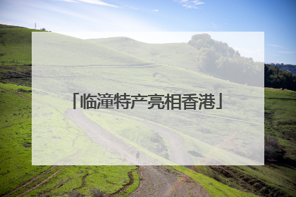 临潼特产亮相香港