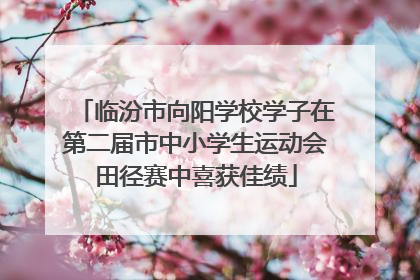 临汾市向阳学校学子在第二届市中小学生运动会田径赛中喜获佳绩