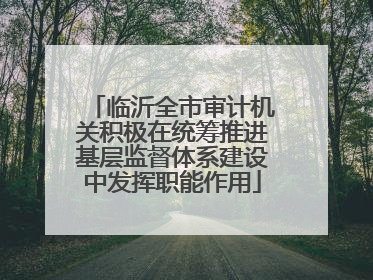 临沂全市审计机关积极在统筹推进基层监督体系建设中发挥职能作用