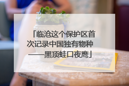 临沧这个保护区首次记录中国独有物种——黑顶蛙口夜鹰