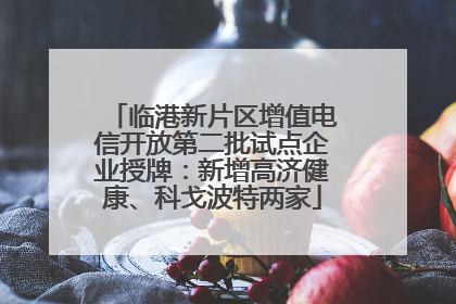 临港新片区增值电信开放第二批试点企业授牌：新增高济健康、科戈波特两家
