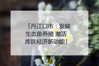 丹江口市：发展生态鱼养殖 激活库区经济新动能