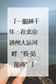 一眼越千年：在北京通州大运河畔“看·见殷商”