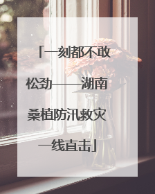 一刻都不敢松劲——湖南桑植防汛救灾一线直击