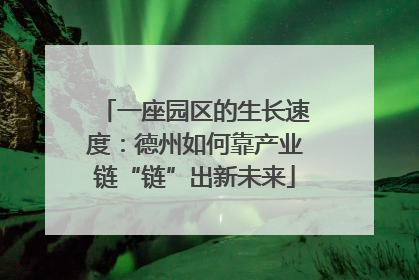 一座园区的生长速度：德州如何靠产业链“链”出新未来