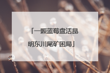 一颗蓝莓盘活昆明东川尾矿困局