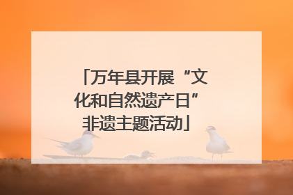 万年县开展“文化和自然遗产日”非遗主题活动