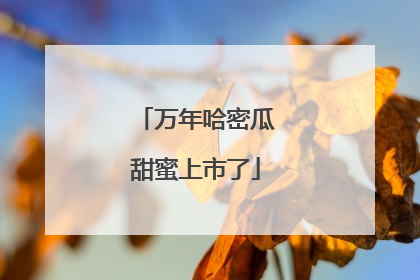 万年哈密瓜甜蜜上市了