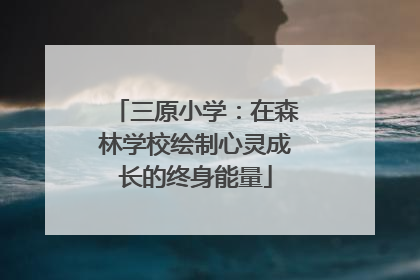 三原小学：在森林学校绘制心灵成长的终身能量