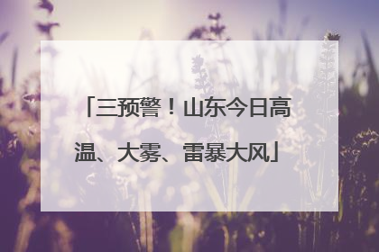 三预警！山东今日高温、大雾、雷暴大风