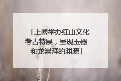 上博举办红山文化考古特展，呈现玉器和龙崇拜的渊源