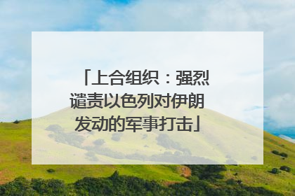 上合组织：强烈谴责以色列对伊朗发动的军事打击