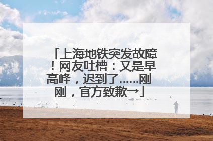 上海地铁突发故障！网友吐槽：又是早高峰，迟到了……刚刚，官方致歉→