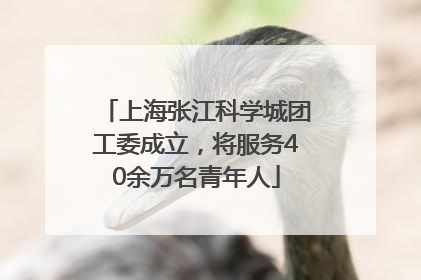 上海张江科学城团工委成立，将服务40余万名青年人