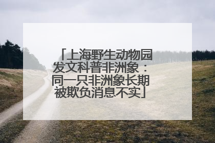 上海野生动物园发文科普非洲象：同一只非洲象长期被欺负消息不实