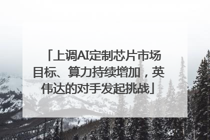 上调AI定制芯片市场目标、算力持续增加，英伟达的对手发起挑战