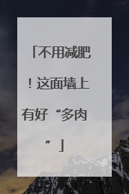 不用减肥！这面墙上有好“多肉”