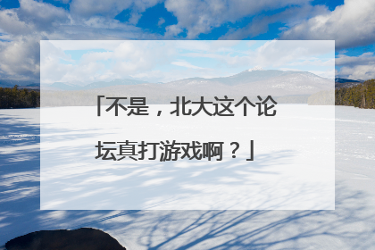 不是，北大这个论坛真打游戏啊？