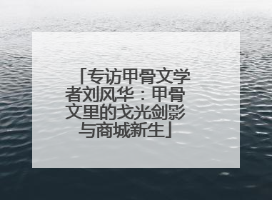 专访甲骨文学者刘风华：甲骨文里的戈光剑影与商城新生