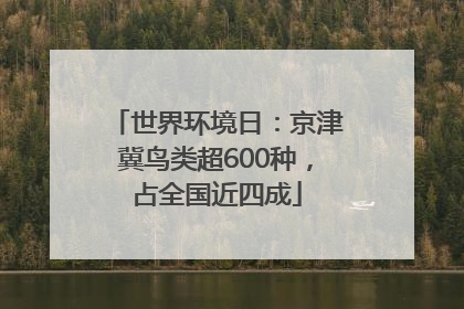 世界环境日：京津冀鸟类超600种，占全国近四成