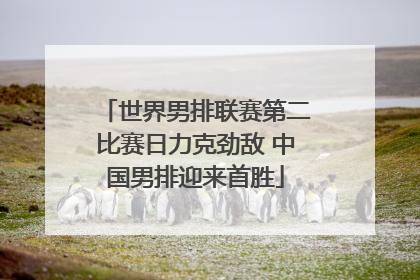 世界男排联赛第二比赛日力克劲敌 中国男排迎来首胜