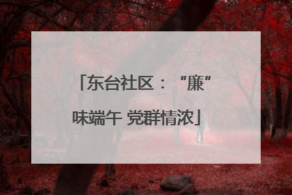 东台社区：“廉”味端午 党群情浓