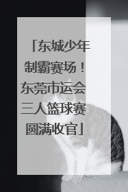 东城少年制霸赛场！东莞市运会三人篮球赛圆满收官