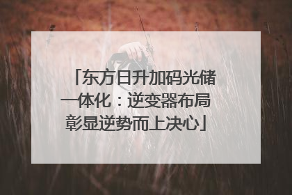 东方日升加码光储一体化：逆变器布局彰显逆势而上决心