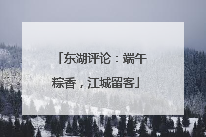 东湖评论：端午粽香，江城留客