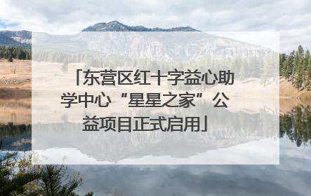 东营区红十字益心助学中心“星星之家”公益项目正式启用