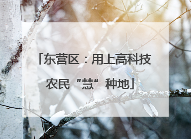 东营区：用上高科技 农民“慧”种地